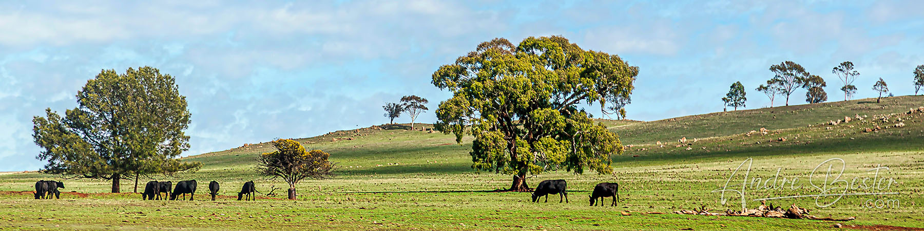 Victoria Road Trip Photos
