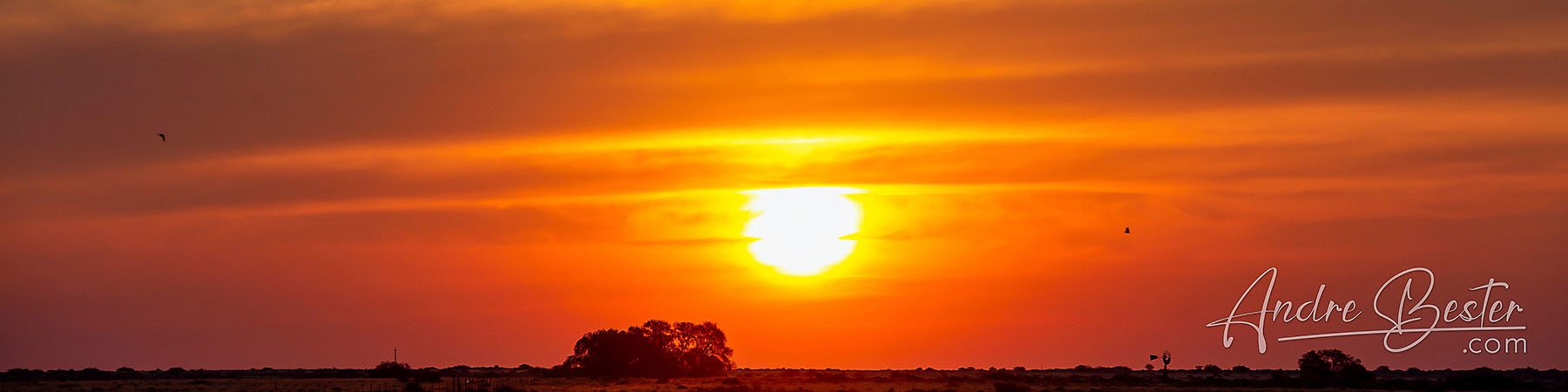 Strydam Sunsets